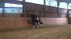 Verkaufsvideo Fandango