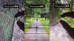 As a true loch ness expert, shine has logged more than 1,000 nessie sightings and offers scientific explanations for why people claim to have seen scotland's mysterious cryptid. Google Maps Loch Ness Street View Glitch Leaves Twitter In Hysterics With X Rated Snap Daily Star