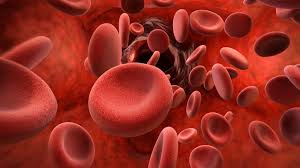 Hemophilia prevents proteins known as fibrins from forming a scab over a cut or forming clots to they also confirm that the other instances of royal disease in the family line were hemophilia. Hemophilia Bleeding Disorder With A Person