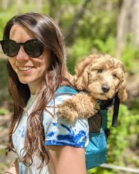 Good handwashing is an easy and effective way to help #StopTheSpread of  COVID-19. 🧼👏