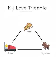 My Love Triangle Sleep Food My Horse Sounds About Right Horse Jokes Funny Horses Horse Quotes Funny