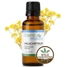 Image result for Helichrysum helvolum