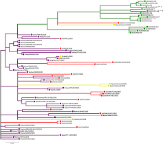 Le frère de didier ? Early Treatment Of Covid 19 Patients With Hydroxychloroquine And Azithromycin A Retrospective Analysis Of 1061 Cases In Marseille France Sciencedirect