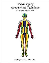 Bodymapping Acupuncture Technique In The Spirit Of Master