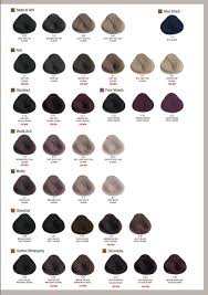 evolution of the color by alfaparf milano issuu