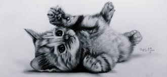 Panda And Kitten Google Search Kitten Drawing Images Of Cute Cats Cat Drawing