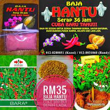 Ini pengalaman pertama tanam cili atas tanah sebelum ini tanam cili menggunakan teknik fertigasi. Baja Hantu 300 Biji Benih Cili Padi Bara Other Agricultural For Sale In Kota Kinabalu Sabah Sheryna Com My Mobile 783894
