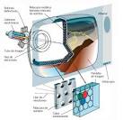 Televisor y sus partes