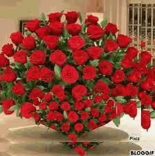 Roses gif flowers gif love rose flower beautiful bouquet of flowers happy birthday flower happy birthday candles morning rose good the perfect happybirthday happybirthdaytoyou hbd animated gif for your conversation. Happy Birthday Roses Gif Happybirthday Roses Flowers Discover Share Gifs