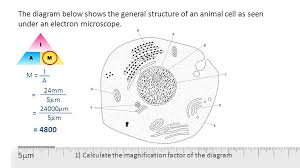 Cautionary labels are given for products or containers containing hazardous material. Microscopy And Magnification Ppt Video Online Download
