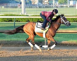Check spelling or type a new query. 2021 Kentucky Derby Cheat Sheet America S Best Racing