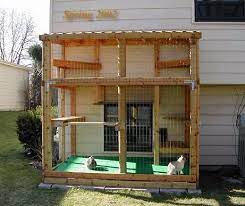 Building Projects Outdoor Cat Enclosure Cat Enclosure Outside Cat Enclosure