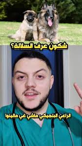 اصحاب الكلاب وين راكم؟😅