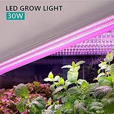 Walmart.com has been visited by 1m+ users in the past month Pin On Unique Garden Ideas