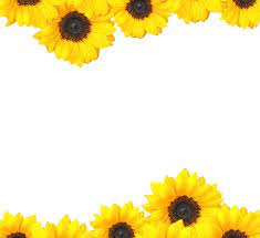 Sunflower Invitation Template Sunflower Invitations Sunflower Wedding Invitation Template Sunflower Template
