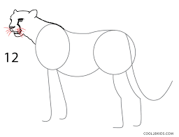 Click on the button below the picture! How To Draw A Cheetah Step By Step Pictures