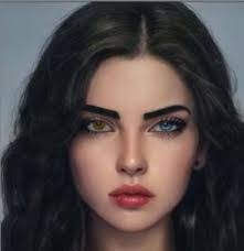 Hayden Stein's Instagram, Twitter & Facebook