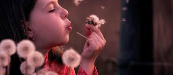 デレク・パラヴィチーニ Derek Paravicini