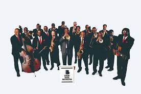 Image result for Baissea