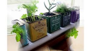 Turn a can of veggies into an herb garden! Small Herb Garden Ideas Youtube Induced Info