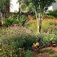 Landscaping for Greater Curb Appeal