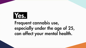 Maybe you would like to learn more about one of these? Cannabis Health Effects Canada Ca