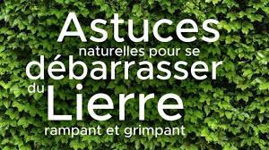 Exercices Pour Corriger Le Dos Voute Bien Etre Remedes De Grand Mere En 2020 Remede De Grand Mere Massage Japonais Remede