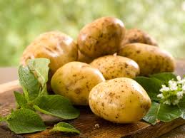 Les pratiques de fertilisation influent grandement sur le rendement et la qualité de la récolte de pomme de terre. La Culture De La Pomme De Terre Agronomie