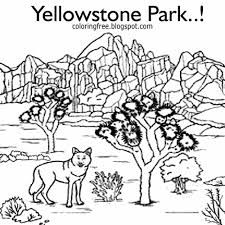 Lighthouse, bison, bears, beautiful mountains and much more. Free Coloring Pages Printable Pictures To Color Kids Drawing Ideas Printable Yellowstone Park Coloring American Wildlife Kids Drawings