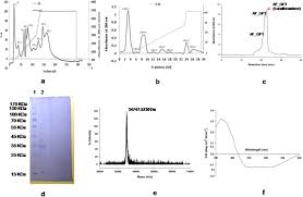 Kelipatan persekutuan bilangan 7 dan 14 adalah 14, 28, 42,. Anticoagulant Mechanism Pharmacological Activity And Assessment Of Preclinical Safety Of A Novel Fibrin Ogen Olytic Serine Protease From Leaves Of Leucas Indica Scientific Reports