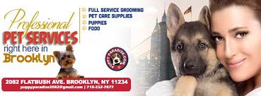 Natty pet shop is your neighborhood pet supply shop, supplying all of your pets wants and needs. Puppy Paradise Home Facebook