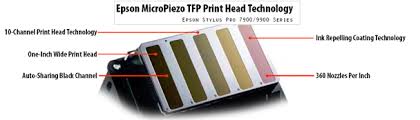 Epson stylus pro 7900 now has a special edition for these windows versions: Epson Stylus Pro 7900 Inkjet Printer 24in Sp7900hdr Fotoclub Inc