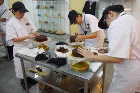 Gastronomicom international culinary academy, agde, france. 6 Culinary Academies In Johor Bahru Where You Can Enhance Your Cooking Skills Johor Now