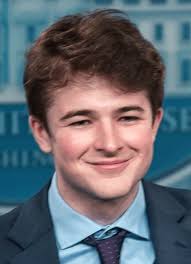 Overview of the Harry Sisson Scandal