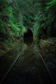 Abandoned Places Railroad Headed Into An Overgrown Tunnel Abandoned Places Fantasy Landscape Abandoned