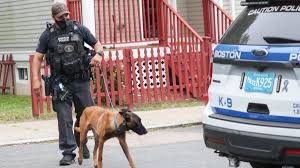 DEA, Boston Police Make Multiple Arrests in Enforcement Actions – NBC Boston