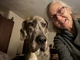 Introduction of Lucy Lou, a 7-month-old Yorkie, to the group