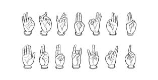 The voice logo image sizes: Amruta Patil Goddesses In Your Palm The Voice Of Fashion