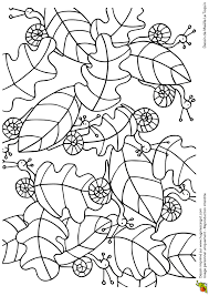coloriage a imprimer cache feuilles escargots page 7 sur 16 hugolescargot com printemps automne pokemon tous les