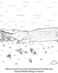 Maybe you would like to learn more about one of these? Parentune Free Printable Crocodiles Coloring Pages Crocodiles Coloring Pictures For Preschoolers Kids