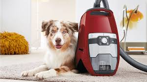 You can also get the eureka mighty mite 3670g if you are on a budget. Best Vacuum Cleaner 2021 Best Vacs Ranked Bagless And Bagged Corded And Cord Free T3