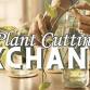 Plant Cutting Exchange | The Annex event in Corpus Christi, TX