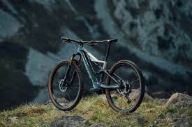 Image result for Orbea knobelii