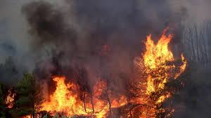 #incendio, #incendio🔥, #incendios, #incendioforestal, #incendioforestales, #incendioargentina, #. Tres Suburbios De Atenas Evacuados A Causa De Un Fuerte Incendio