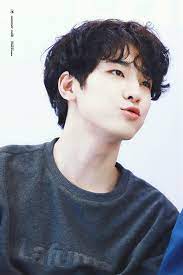 Because of his birth date, he is often called seventeen since birth by other seventeen members and their fans. Young Mother Meanie Seventeen Wonwoo Wonwoo Seventeen Seventeen Kpop