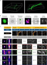 Kills knife ability test glitch music jinni. Super Resolution Fight Club Assessment Of 2d And 3d Single Molecule Localization Microscopy Software Nature Methods
