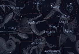 The Constellation Pegasus In The Sky Org