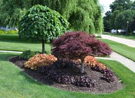 Landscaping Ideas For Front Yard Around Tree Nice And Simple Landscaping Ideas Around Tr Front Yard Landscaping Design Cheap Landscaping Ideas Easy Landscaping