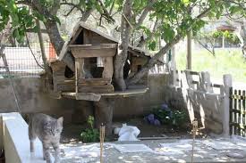 If you have a cat that spends most of its time outdoors, or you want to provide a warm, dry spot for neighborhood strays, here's an easy diy shelter you you can make several variations of this cozy shelter, depending on the supplies you already have around your home or what you can afford to buy. 15 Diy Outdoor Cat Houses For Your Fur Babies