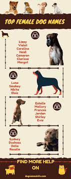 After all, this is a name that. Female Dog Names 2021 1500 Unique Girl Puppy Names Ideas